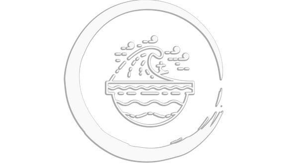 Vision Street Surf